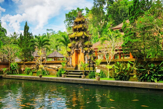 1-Day Ubud Tours All-Inclusive - One 10-Hour Loop in Ubud That Balances Sights With Breathing Space