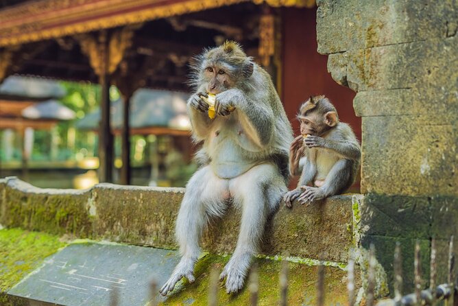 1-Day Ubud Tours All-Inclusive - Tirta Empul Temple: Spiritual Calm and the Meaning Behind the Water