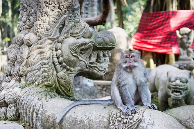 1-Day Ubud Tours All-Inclusive - Ulu Petanu and the Tegenungan Waterfall Area: When the Day Turns Wet
