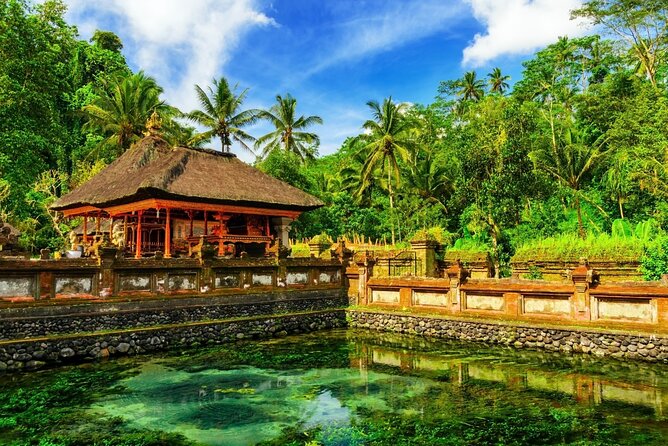 1-Day Ubud Tours All-Inclusive - Lunch and Coffee Plantation: The Day’s Practical Reset