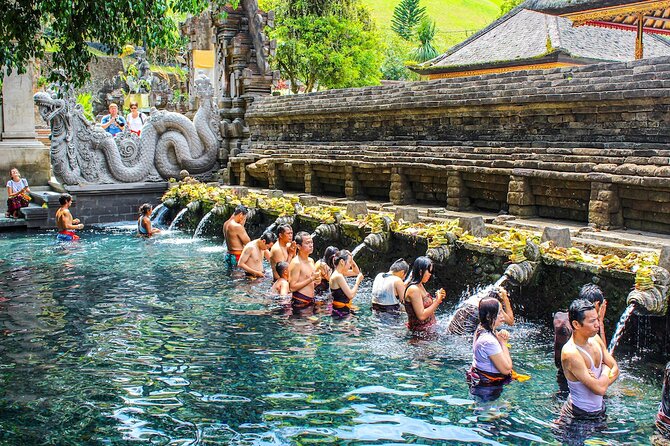 1-Day Ubud Tours All-Inclusive - Sacred Monkey Forest Sanctuary: Fun, Up Close, and Totally Unscripted