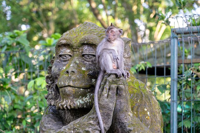 3 Days for the best of Ubud Private Tour - Day 1: Monkeys, Rice Terraces, Temples, and the Jungle Swing