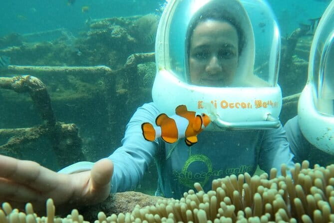 30 Minutes Ocean Walking in Nusa Dua, Bali - How the 30-Minute Ocean Walk Actually Works (No Swimming Skills Needed)