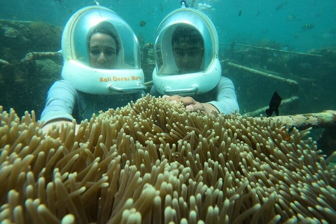 30 Minutes Ocean Walking in Nusa Dua, Bali - Groups, Mobile Tickets, and Why Small Matters