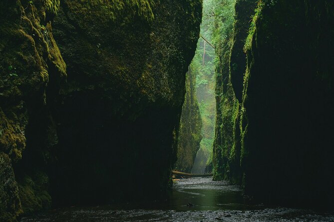 3Hrs Intermediate Canyoning in North Bali (Pickup, Lunch & GoPro) - Price and value: is $149 for Yeh Muncat a fair deal?