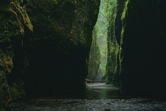 5Hrs Advanced Canyoning (50m) 12 Rappels (Pickup, Lunch & GoPro) - The guide factor: why Adi and Komang matter on hard routes
