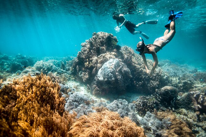 All Inclusive Bali Blue Lagoon and Tanjung Jepun Snorkeling - Key Points That Matter Before You Go