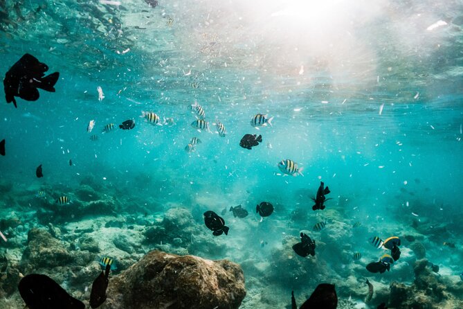 All Inclusive Bali Blue Lagoon and Tanjung Jepun Snorkeling - The equipment, the guide support, and glasses-friendly snorkeling