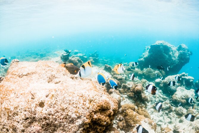 All Inclusive Bali Blue Lagoon and Tanjung Jepun Snorkeling - Lunch and rinse time: why it matters on a snorkeling half-day