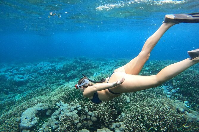 All Inclusive Bali Blue Lagoon and Tanjung Jepun Snorkeling - Photography: how to plan for macro shots underwater