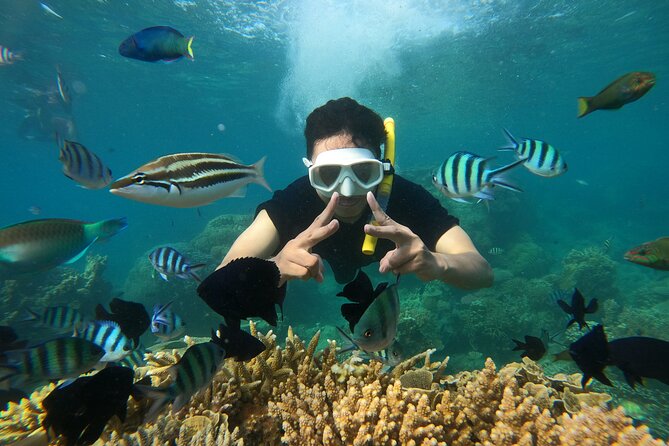 All Inclusive Bali Blue Lagoon and Tanjung Jepun Snorkeling - Who should book this snorkeling combo from Ubud