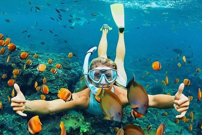 All Inclusive : Bali Blue Lagoon Snorkeling, Lunch, and Transport - Padangbai is the secret to an easier snorkeling day