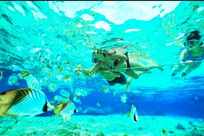All Inclusive : Bali Blue Lagoon Snorkeling, Lunch, and Transport - Safety and the guides: what “in control” looks like