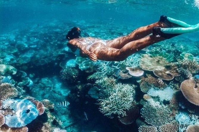 All Inclusive : Bali Blue Lagoon Snorkeling, Lunch, and Transport - Getting from Ubud, Seminyak, or Denpasar without losing the day