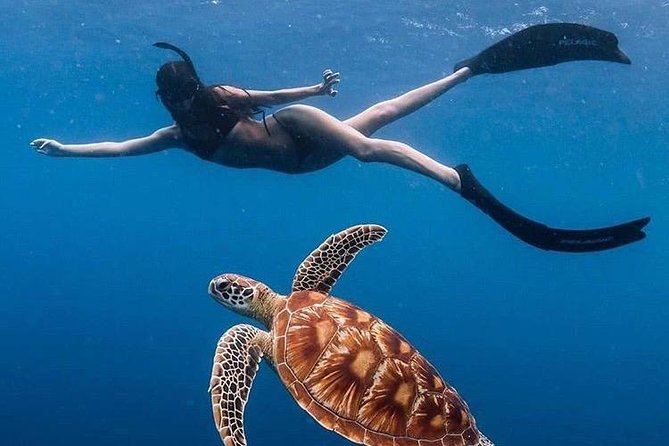 All Inclusive : Bali Blue Lagoon Snorkeling with Lunch &Transfers - Key highlights worth your attention