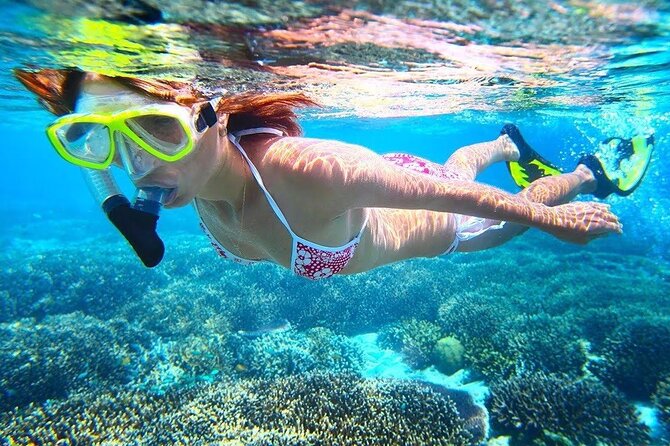 All Inclusive : Bali Blue Lagoon Snorkeling with Lunch &Transfers - Tanjung Jepun: your second shot at reef life