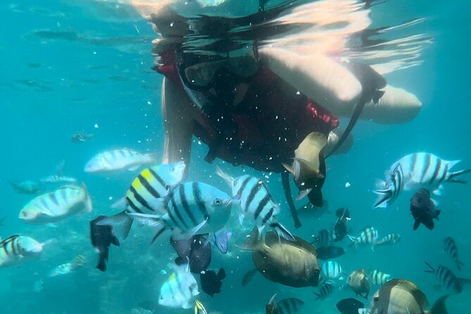 All Inclusive : Bali Blue Lagoon Snorkeling with Lunch &Transfers - The day’s flow, from pickup to last snorkel