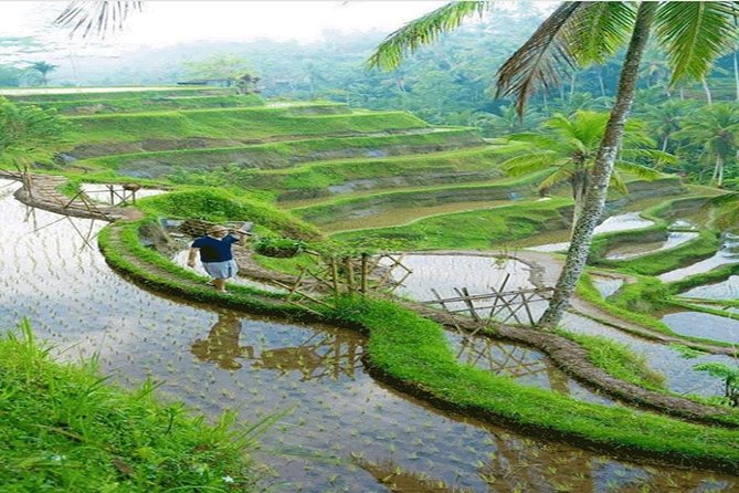 ALL INCLUSIVE - Bali Gate Of Heaven Tour - Coffee Making the Traditional Way: A Relaxed Finish