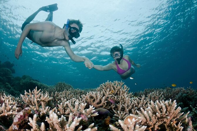 All Inclusive Bali Scuba Diving at Tulamben with Lunch -Transport - Key Highlights You’ll Actually Feel