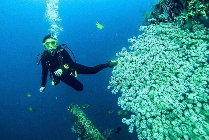 All Inclusive Bali Scuba Diving at Tulamben with Lunch -Transport - How Underwater Time Works: Skills First, Then Wildlife at Your Pace