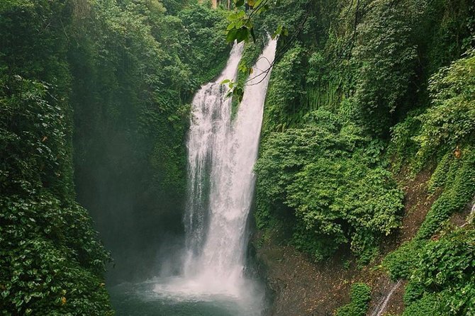 All Inclusive : Jumping Sliding at Aling- Aling Waterfall - Handara Gate - Lunch - Who should book this tour, and who should think twice