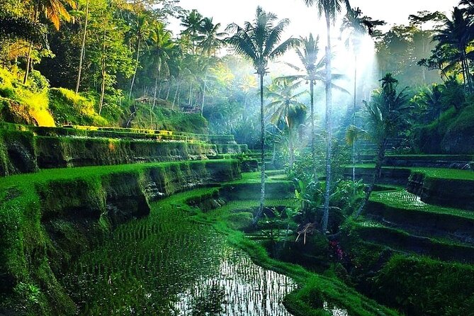 [All Inclusive] The Soul of Bali: Temples, Art & Traditions Tour - Goa Gajah (Elephant Cave): an 11th-century temple stop