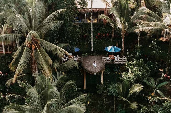 All-Inclusive Ubud Private Tour - Tegalalang Rice Terraces and SUBAK, What the Rows Are Actually For