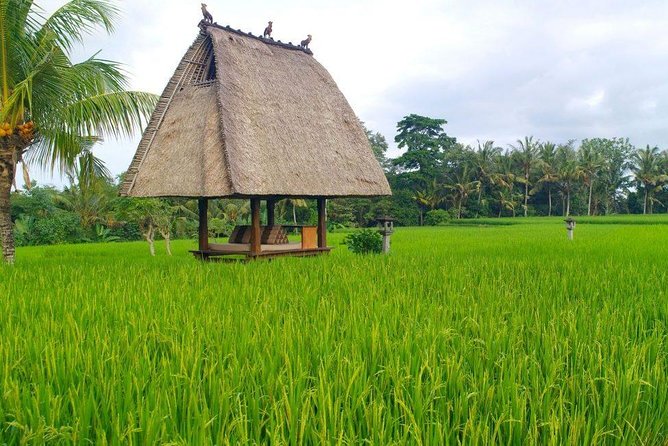 All-Inclusive Ubud Private Tour - Tegenungan Waterfall, the Roar and the Green Surroundings