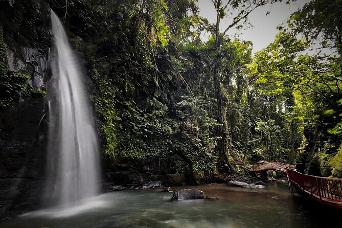 All-Inclusive Ubud's Wonder Day Tour - Tirta Empul Temple: seeing a purification ritual up close