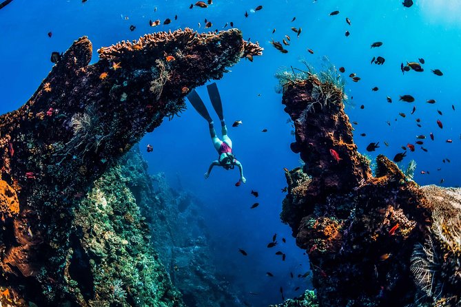 Amed Bali Snorkelling: Japanese Shipwreck & Vienna Beach Tour - The guide and the small-group setup: why you feel looked after