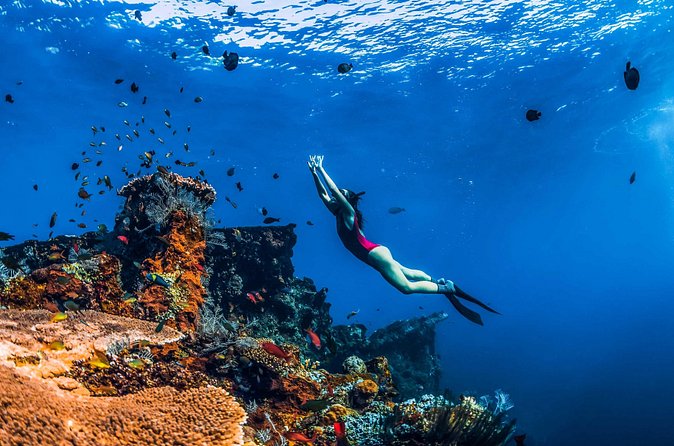 Amed Bali Snorkelling: Japanese Shipwreck & Vienna Beach Tour - Price and value: what $44 buys you (and what it doesn’t)
