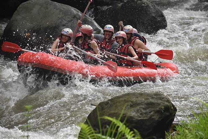 Ayung Rafting Ubud (Include Lunch & Return Transportation) - Key things that make this Ayung rafting package work