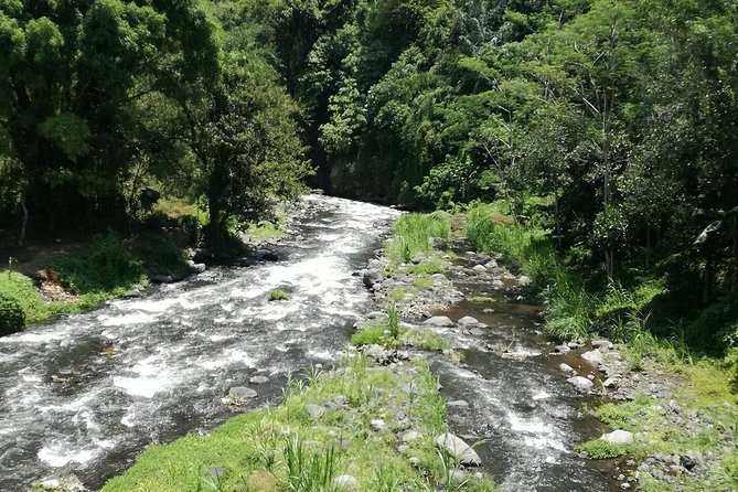 Ayung Rafting Ubud (Include Lunch & Return Transportation) - Price and value: is $75 a fair deal for this package?