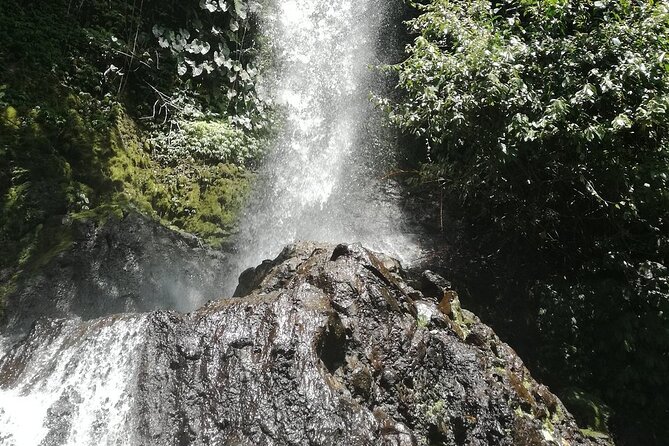 Ayung Rafting Ubud (Include Lunch & Return Transportation) - Who should book Ayung Rafting Ubud with transfers?