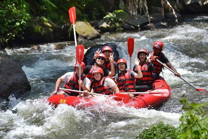 Ayung River Half-Day White Water Rafting Bali in Ubud - Key highlights before you go