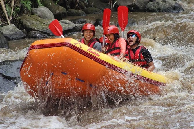 Ayung River Half-Day White Water Rafting Bali in Ubud - Pickup Timing: Getting From Ubud to the Base Camp Without Losing the Day