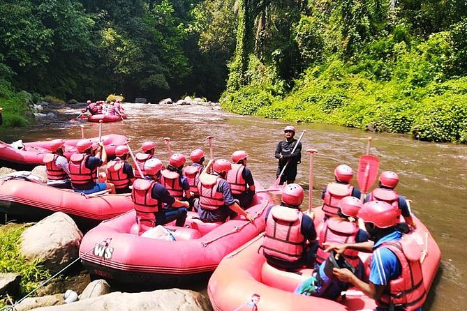 Ayung River Half-Day White Water Rafting Bali in Ubud - On the Water: Guided Rafting on the Ayung River (Including Rainy-Season Intensity)