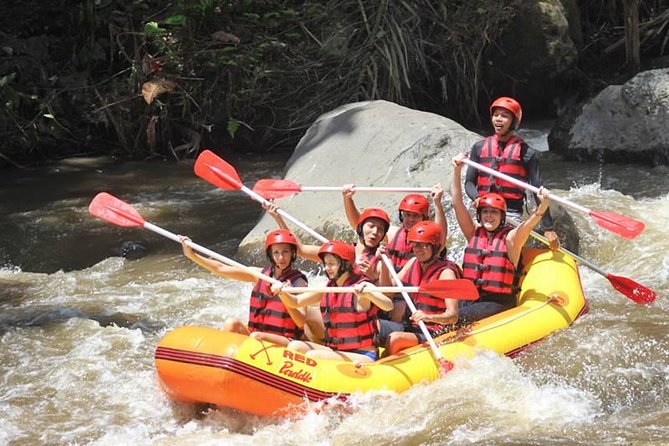 Ayung River Half-Day White Water Rafting Bali in Ubud - Returning to Ubud: A Smooth End Around 1:30 to 2:00