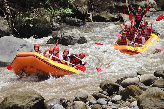 Ayung River Half-Day White Water Rafting Bali in Ubud - Small Details That Make This Feel Good Value at $28