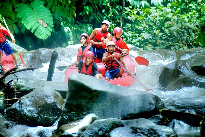 Ayung River Rafting and Bali ATV Ride Packages - Why the Ayung River and ATV combo makes sense in Ubud
