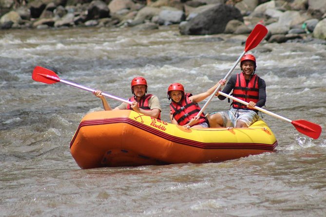 Ayung River - White Water Rafting Bali - Ayung River outside Ubud: why the rapids feel like a balanced adventure