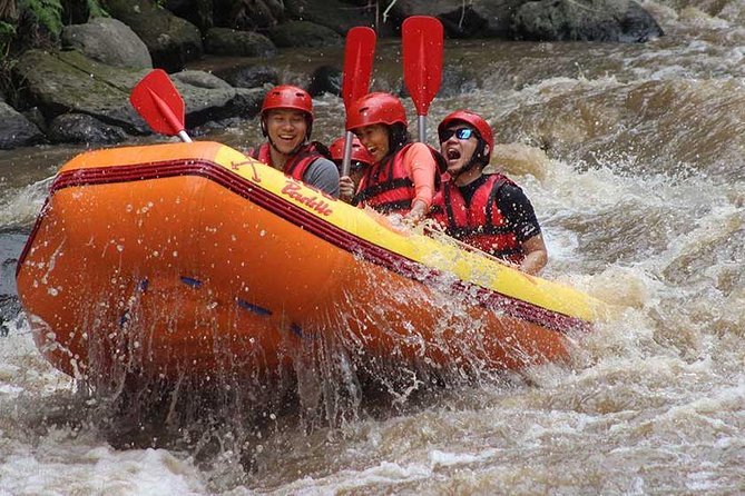 Ayung River - White Water Rafting Bali - Morning or afternoon rafting: how to pick the right body clock