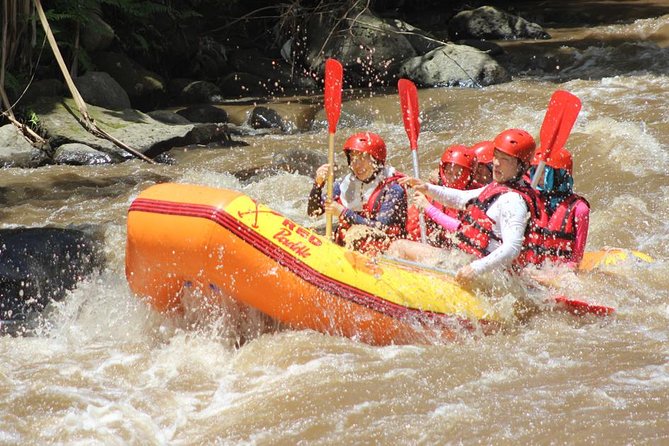 Ayung River - White Water Rafting Bali - Pickup, registration, and the stair walk to the river