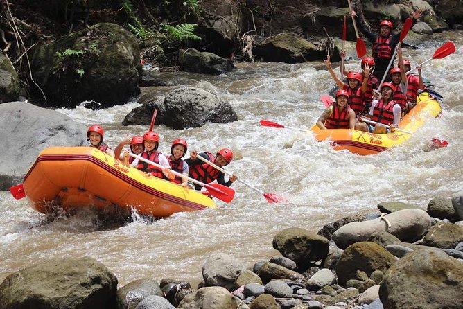Ayung River - White Water Rafting Bali - Price and what’s actually included: value beyond the headline number