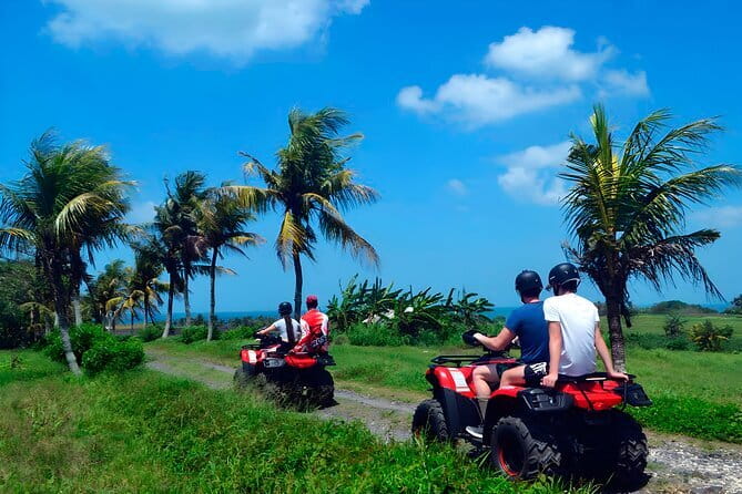 Ayung White Water Rafting and Bali ATV Ride Packages - Stop 1 on the Ayung River: Bali Pertiwi Rafting and the wildlife angle