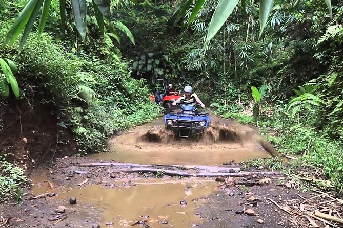 Balaji Adventure Bali Quad Bike - Single Bike 250cc - Where you start: Puhu pickup and why it matters