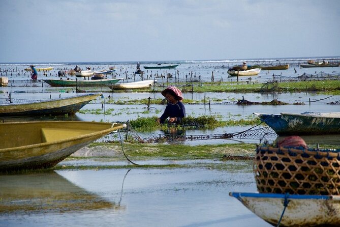 Bali 2 Days and 1 Nights of Nusa Penida and Lembongan Tour - Transportation Reality: Transfers, Private Group, and Fast Boats