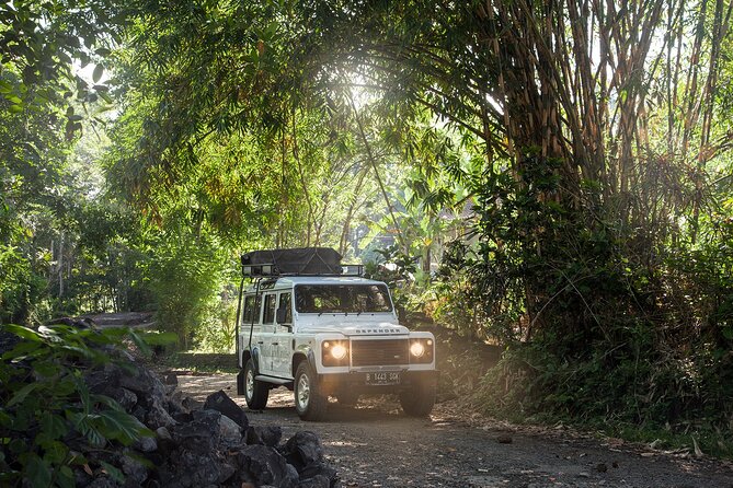 Bali 4WD Adventure WakaLand UNESCO Jatiluwih Trip in Bali Outback - Jatiluwih rice terraces and Subak irrigation views