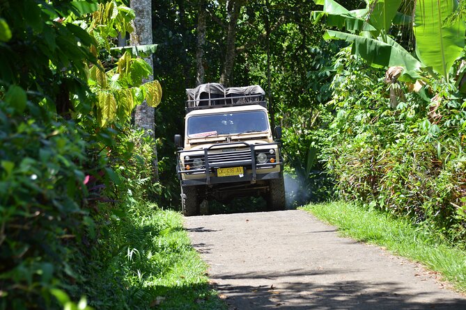 Bali 4WD Adventure WakaLand UNESCO Jatiluwih Trip in Bali Outback - Hot mineral baths after the temple, what this stop is really for