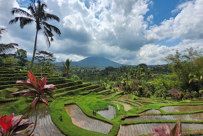 Bali 4WD Adventure WakaLand UNESCO Jatiluwih Trip in Bali Outback - Small-group 4WD logistics from the pickup zones